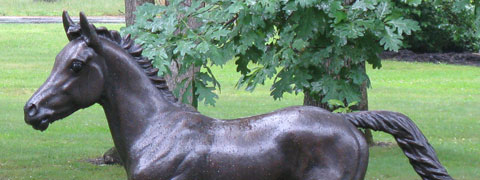 Saratoga Springs Area Info